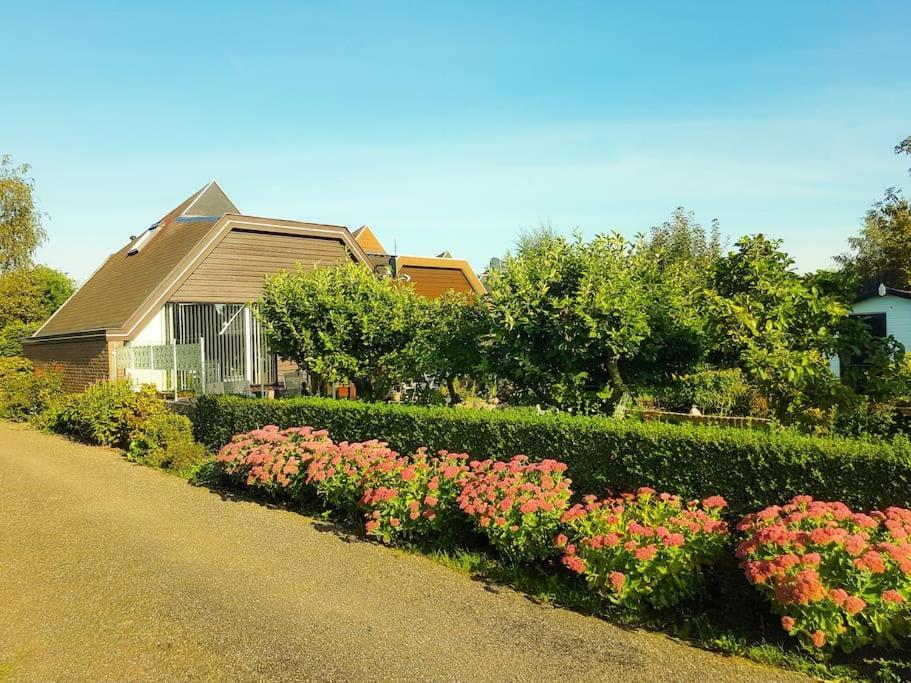 Lovely House Till 6 P. Near Amsterdam, Sea Apartment Opmeer Luaran gambar