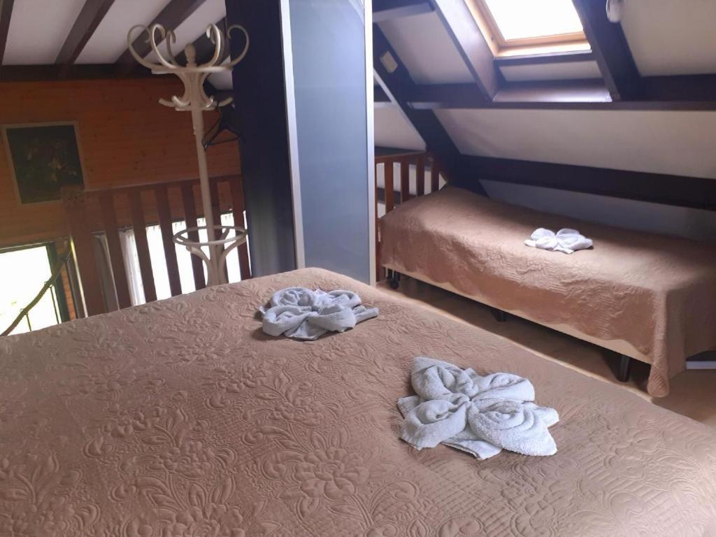 Lovely House Till 6 P. Near Amsterdam, Sea Apartment Opmeer Luaran gambar
